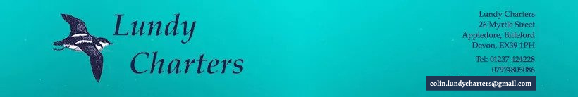 Footer Banner