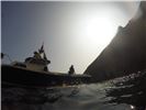 Lundy Murrelet_Water